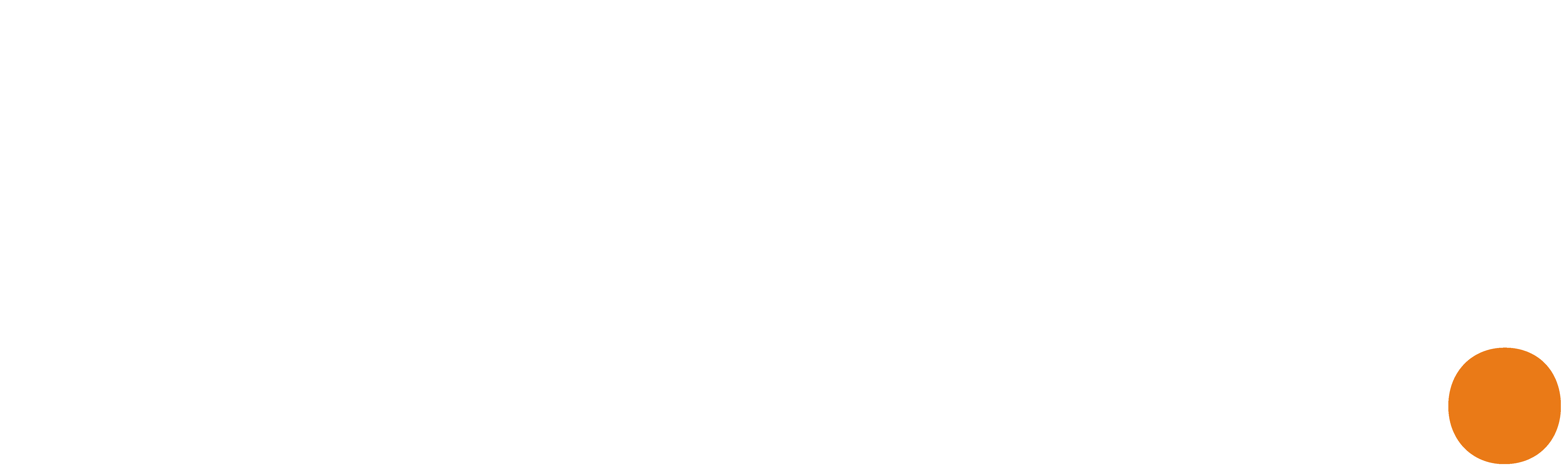 ZRM logo lys
