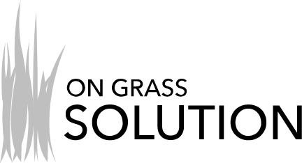 logo@2x